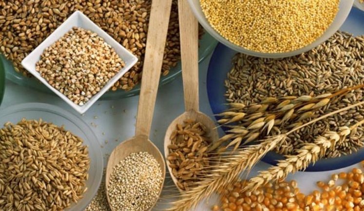 Україна посіла друге місце в ЄС за обсягами виробництва зернових: попереду лише Франція