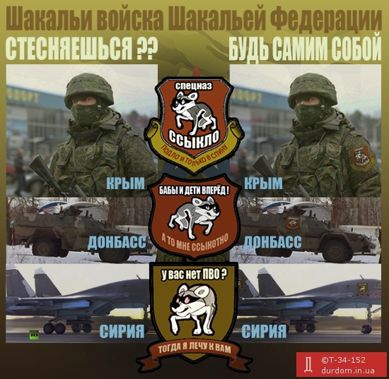 Новые знаки отличия шакальих войск