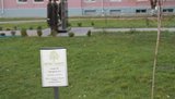 У Київському військовому ліцеї відкрили пам
