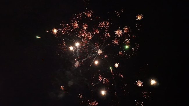 Біля дачі Зеленського в Кончі-Заспі протестують проти спроби спільної з окупантами інспекції позицій ЗСУ 29