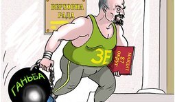 Разгул Зе!демократии
