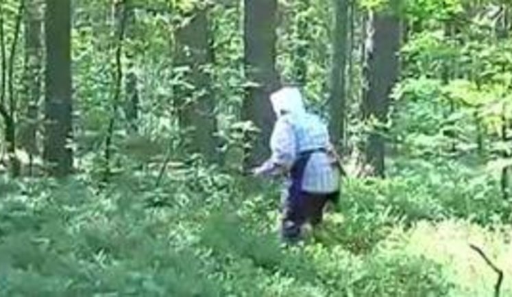 Селяне негодуют из-за налогов на ягоды, грибы и орехи: "Государство нас пенсией обидело. Это единственный заработок". ВИДЕО