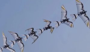 Данія тимчасово забороняє всі польоти цивільних дронів