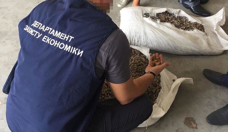 Правоохранители пресекли вывоз за границу под видом пеллет более тысячи килограммов янтаря. ФОТОрепортаж