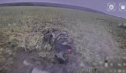 Бійці 414 бригади "Птахи Мадяра" ліквідували 75 окупантів на Покровському напрямку