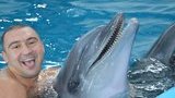 Dolphins used to treat PTSD in Ukrainian soldiers