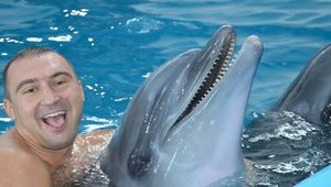 Dolphins used to treat PTSD in Ukrainian soldiers