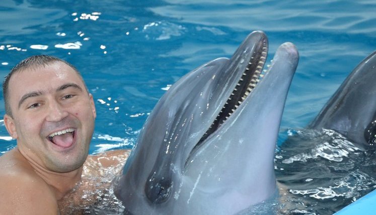 Dolphins used to treat PTSD in Ukrainian soldiers