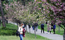 Cabinet to prolong quarantine after May 22 - Shmyhal