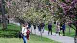 Cabinet to prolong quarantine after May 22 - Shmyhal