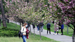 Украинские ученые прогнозируют возможный спад пандемии COVID-19 в конце мая