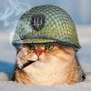 Топ Ган