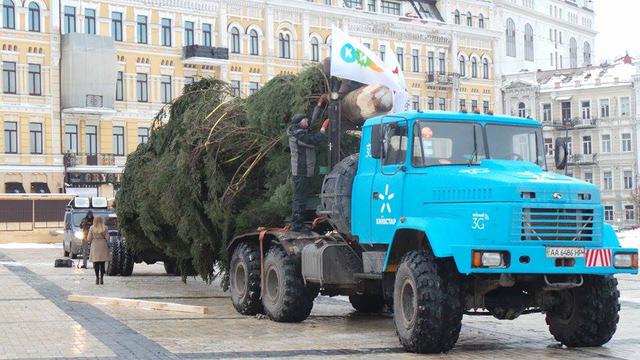 В центр Киева привезли главную новогоднюю елку Украины 04