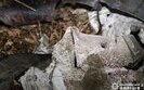 Обстріл Харкова ввечері 9 листопада