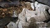 Обстріл Харкова ввечері 9 листопада