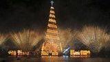 Самые необычные новогодние елки мира. ФОТОрепортаж