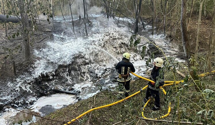 Від пожежі, що сталася внаслідок пориву нафтопроводу на Прикарпатті, постраждало 6 осіб, - ДСНС. ФОТО