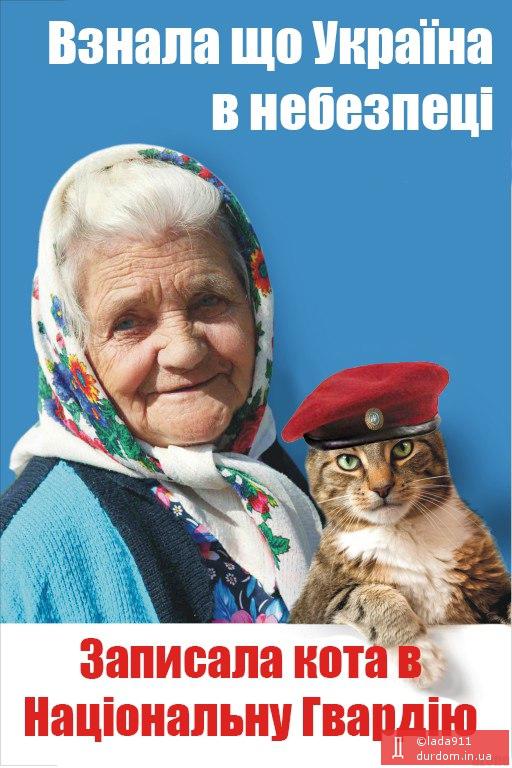 Кіт захисник