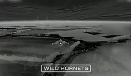 Бійці 1 ОВМБр збили 17 шахедів, що летіли у напрямку українських міст