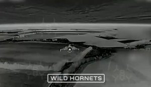 Пілоти 1-ї бригади збили 17 російських "Шахедів", що летіли в напрямку українських міст. ВIДЕО