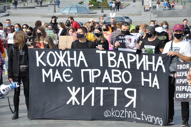 Акція на захист прав тварин відбулася на Майдані 13