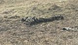 рф,ліквідація