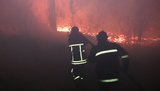 Масштабну лісову пожежу на Чернігівщині гасять за допомогою літаків, - ДСНС. ФОТОрепортаж