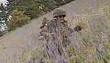 Fighters from the 414th Brigade, Madyar’s Birds, eliminated the occupier with a strike drone