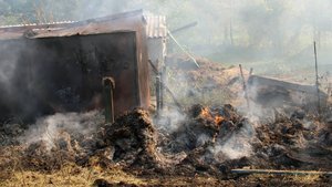 Ukrainian Village Stepanivka After Shelling from MLRS Grad from the Russian Side: Destroyed Houses and Equipment. PHOTOS