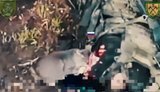 кіт гризе тіло ліквідованого окупанта