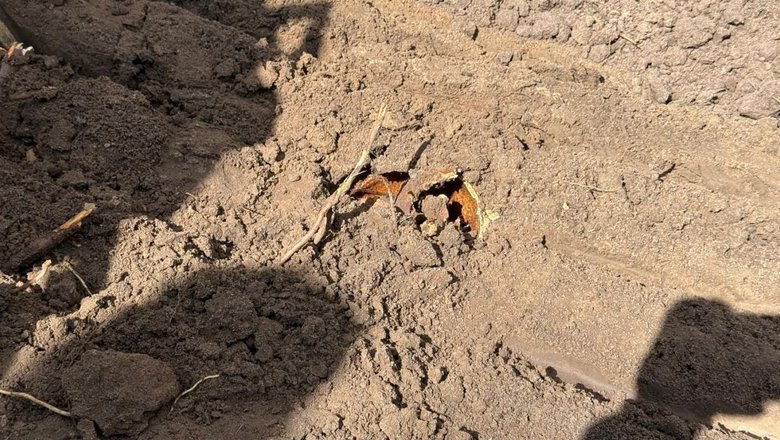 Пошукові роботи у колишніх селах Острівки та Воля Островецька на Волині