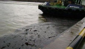 Russian oil companies played the volume of oil spill in the Black Sea down hundredfold - WWF. PHOTOS+VIDEO