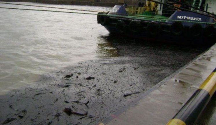 Russian oil companies played the volume of oil spill in the Black Sea down hundredfold - WWF. PHOTOS+VIDEO