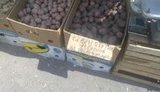 Членов ПР отказались обслуживать на рынке в Луганской области. ФОТО