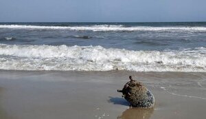 море,чорне,міна