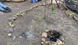 буча