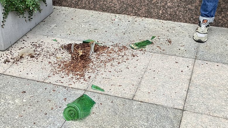 Цензор.НЕТ Изображение