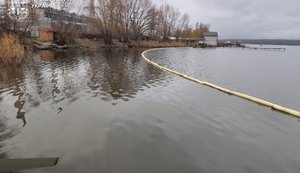 Fuel oil spill recorded in Southern Bug near Ladyzhyn TPP. PHOTOS