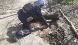 житомирщина,розмінування