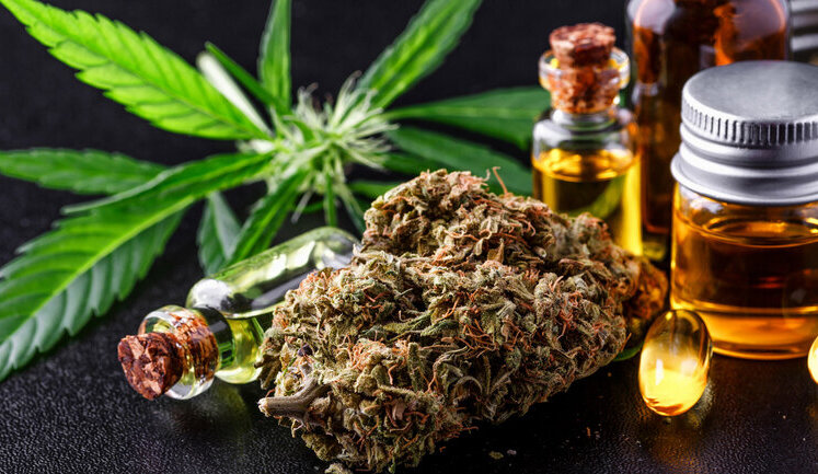 Medical cannabis is legalised in Ukraine: law has entered into force
