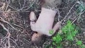 ліквідований у Часовому Яру росіянин