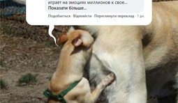Комплимент