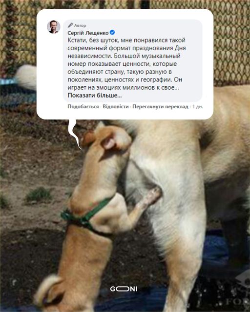 Комплимент