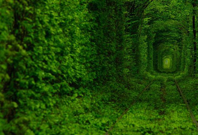 Цензор.НЕТ Изображение