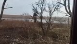 на,окупант,дереві,висить
