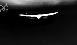 Пілот 125 бригади перехоплювачем STING збив дрон Князь Віщий Олег на висоті 3600 м