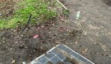 снігурівка