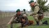 Порошенко, Турчинов и Цигикал поздравили украинских пограничников с профессиональным праздником