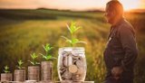 В Україні готують ваучерну програму підтримки малих фермерів із прифронтових територій