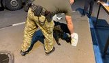Гражданин Украины на Харьковщине пытался ввезти из РФ почти 3 кг наркотиков под видом биодобавки для животных, - Госпогранслужба. ФОТОрепортаж